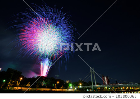 燦爛的煙花 燦爛的煙花 103800365