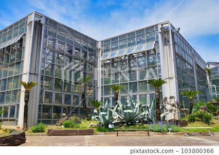 市川市觀賞植物園(千葉縣市川市) 市川市觀賞植物園(千葉縣市川市) 103800366