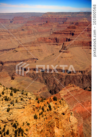 Grand Canyon Arizona 103800568