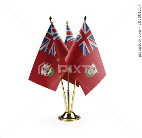 Small national flags of the Bermuda on a white background 103801217