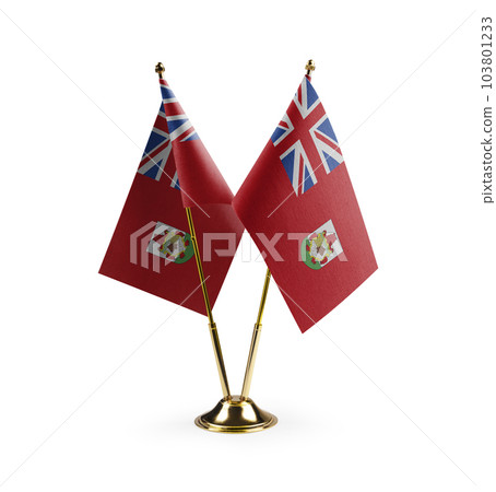 Small national flags of the Bermuda on a white background 103801233