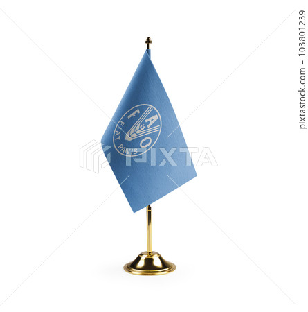 Small national flag of the Food and agriculture organization on a white background 103801239