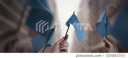 A group of people holding small flags of the International Intellectual Property Organization in their hands A group of people holding small flags of the International Intellectual Property Organization in their hands 103801353