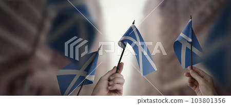 A group of people holding small flags of the Scotland in their hands A group of people holding small flags of the Scotland in their hands 103801356