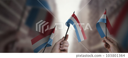 A group of people holding small flags of the Luxembourg in their hands A group of people holding small flags of the Luxembourg in their hands 103801364