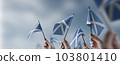 A group of people holding small flags of the Scotland in their hands 103801410