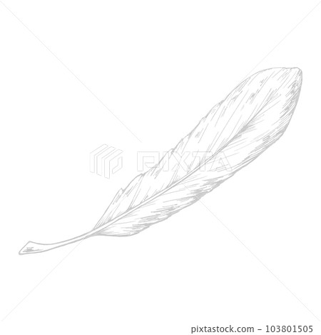 鳥羽一根（單品）/銀箔線描 103801505