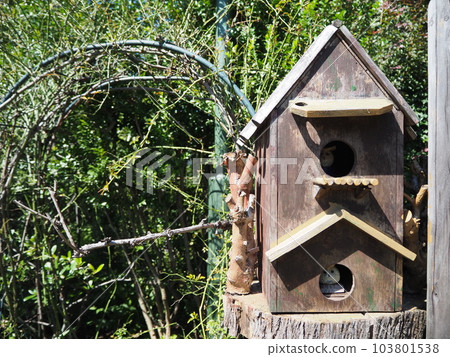 A birdhouse containing an owl figurine A birdhouse containing an owl figurine 103801538