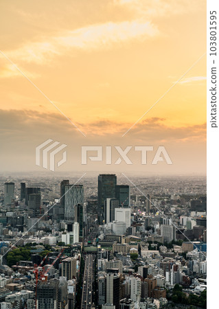 [東京]黃昏的澀谷街景 103801595