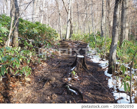 Mountain trail in early winter with snow 103802050