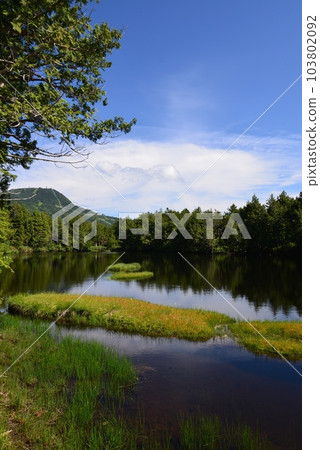 Scenery of Shiga Kogen wetlands and wooden paths Scenery of Shiga Kogen wetlands and wooden paths 103802092