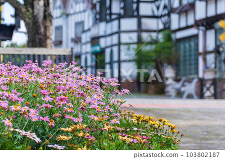 春暖花開的旅遊勝地風光 103802187