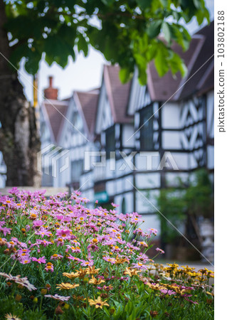 春暖花開的旅遊勝地風光 春暖花開的旅遊勝地風光 103802188
