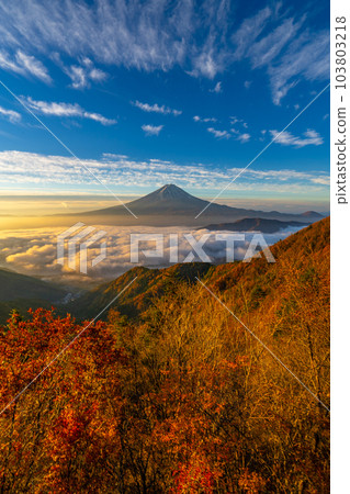 新道關、雲海、紅葉、富士山、富士山雙台[山梨縣笛吹市] 103803218