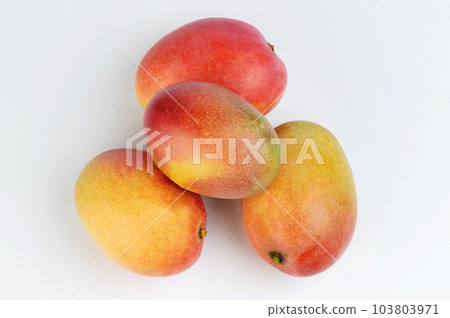 Group of red  mango fruits 103803971