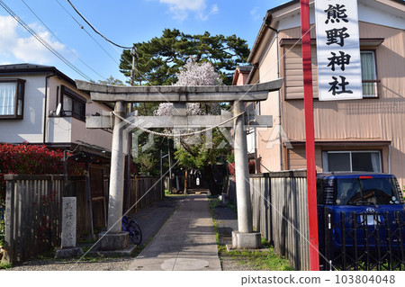 Suginami/Ozaki Kumano Shrine Suginami/Ozaki Kumano Shrine 103804048