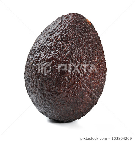 Single dark brown (bilse variety) ripe avocado isolated on white background 103804269