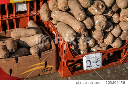 Puna yam (Dioscorea) displayed on food market in Lewisham, London. 103804456