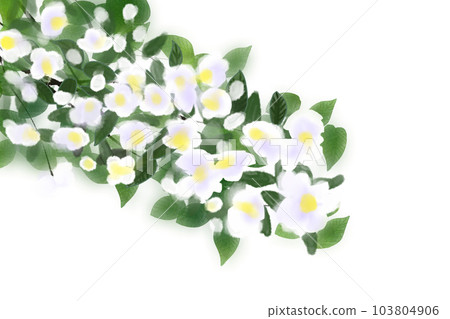 Plum blossom sky tree (baikatsugi) flower card 3 Plum blossom sky tree (baikatsugi) flower card 3 103804906