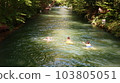 People swimming in summer river 103805051