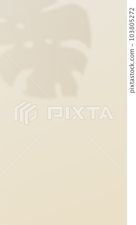 Tropical palm leaf shadow. Soft color background Tropical palm leaf shadow. Soft color background 103805272