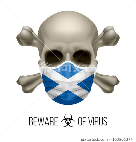 Human Skull 103805374