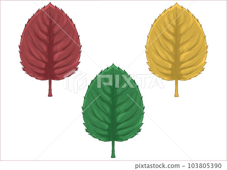 Perilla 1 Perilla 1 103805390