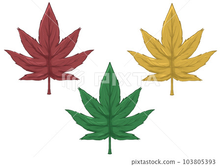 maple leaf 1 maple leaf 1 103805393