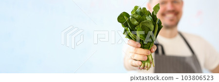 Smiling cook is holding lettuce or sorrel leaves closeup Smiling cook is holding lettuce or sorrel leaves closeup 103806523