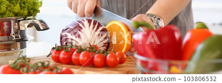 Cook cuts vegetables and fruits with knife on salad on board Cook cuts vegetables and fruits with knife on salad on board 103806532