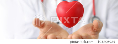 Cardiologist or therapist holds small heart in air 103806985