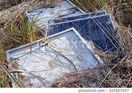 太陽能電池板放置在田地裡，上面覆蓋著草 103807047