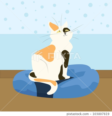 Cat on couch. Pet toys and accessory. Domestic animal sleeping zone funny mammal at home. Pussycat sitting, adorable purebred kitty. Happy character cartoon flat isolated vector illustration 103807819