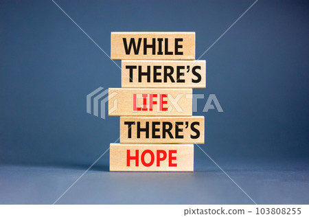 Life and hope symbol. Concept word While there is life there is hope on wooden block. Beautiful grey table grey background. Business lifestyle life and hope concept. Copy space. 103808255