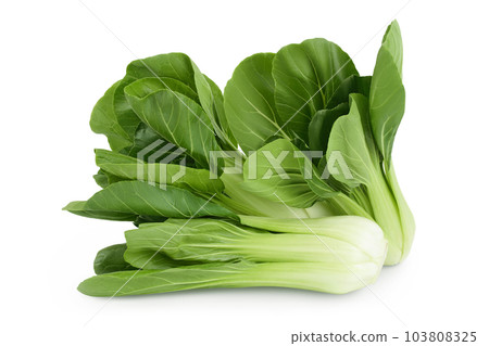 Fresh pak choi cabbage isolated on white background with full depth of field 103808325