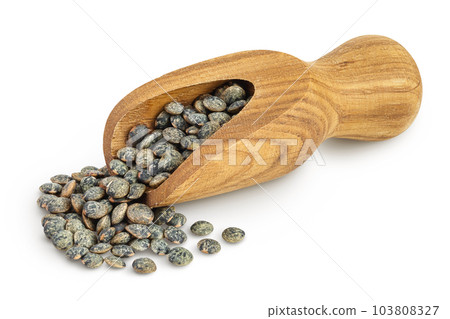 raw french green lentils in wooden scoop isolated on white background with full depth of field 103808327
