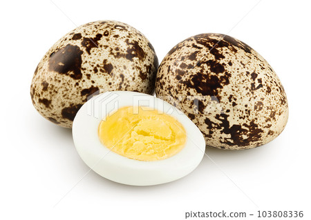boiled quail egg isolated on white background with full depth of field boiled quail egg isolated on white background with full depth of field 103808336