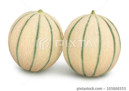 Cantaloupe melon isolated on white background with full depth of field 103808353