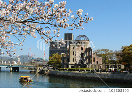 從和平公園一側看到的原子彈爆炸圓頂、櫻花和出租車 103808393