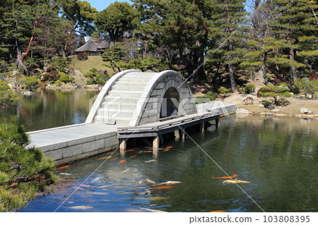 Crossing bridge and Nishikigoi in Shukkeien 103808395