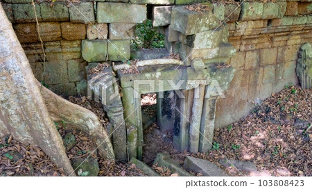 A fragment of an ancient ruined wall and passage in a Cambodian forest. 103808423
