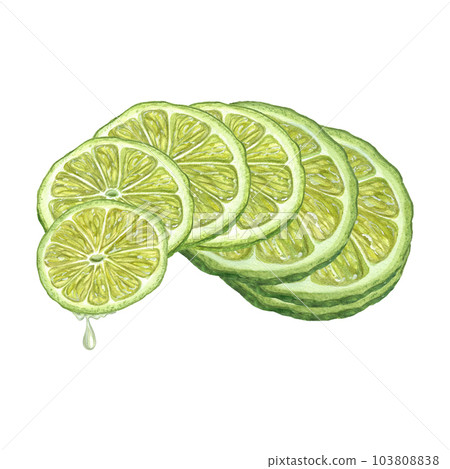 Watercolor concept of balance made of fresh Lime slices and Drop of juice dripping from lime. Hand drawn picture isolated on white background. Illustration for menu, cocktail party, flyer Watercolor concept of balance made of fresh Lime slices and Drop of juice dripping from lime. Hand drawn picture isolated on white background. Illustration for menu, cocktail party, flyer 103808838