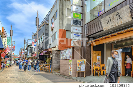 神奈川縣鎌倉市鎌倉站周邊小町通 神奈川縣鎌倉市鎌倉站周邊小町通 103809525