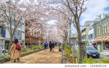 春天的神奈川縣鎌倉市風景 春天的神奈川縣鎌倉市風景 103809526
