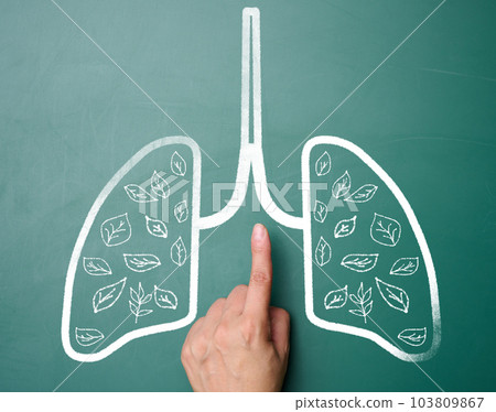 Chalked lungs on a green chalk board and a woman's hand. The concept of environmental protection, reduction of carbon dioxide emissions Chalked lungs on a green chalk board and a woman's hand. The concept of environmental protection, reduction of carbon dioxide emissions 103809867