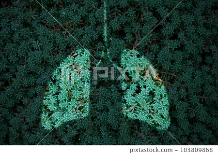 Green grass and lung shape, carbon footprint reduction concept, environmental protection 103809868