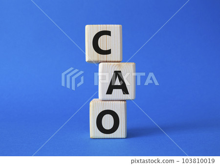 CAO - Chief Accounting Officer symbol. Wooden cubes with word CAO. Beautiful blue background. Business and Chief Accounting Officer concept. Copy space. 103810019