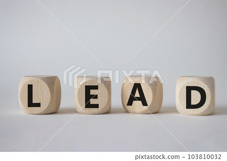Lead symbol. Concept word Lead on wooden cubes. Beautiful white background. Business and Lead concept. Copy space. Lead symbol. Concept word Lead on wooden cubes. Beautiful white background. Business and Lead concept. Copy space. 103810032