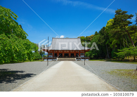 Daigoji Temple Kondo 年輕的葉子和新鮮的綠葉 103810079