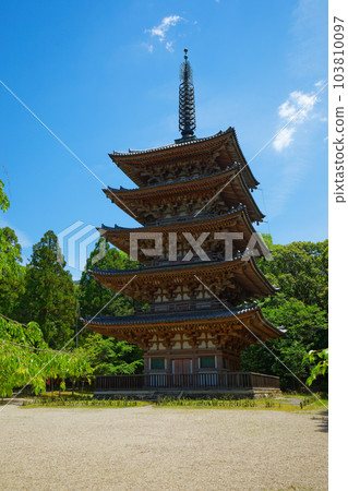 Daigoji Temple's five-storied pagoda Fresh green leaves and blue maple leaves Daigoji Temple's five-storied pagoda Fresh green leaves and blue maple leaves 103810097